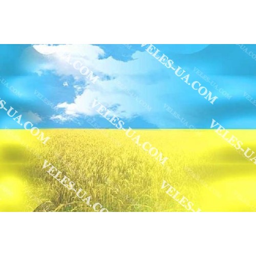 перехідник Штекер RCA х 2 Гнізда RCA, форма перехідник Штекер RCA х 2 Гнізда RCA, форма
