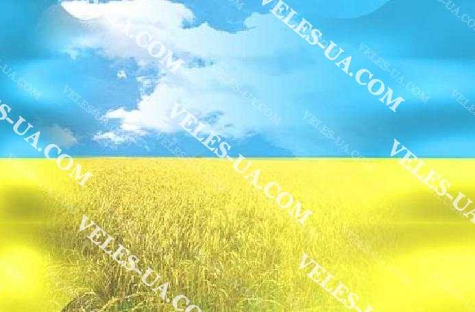 акумулятори 14500, R6, AA, 3,7V, d14mm